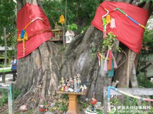 曼谷陶瓷島照片