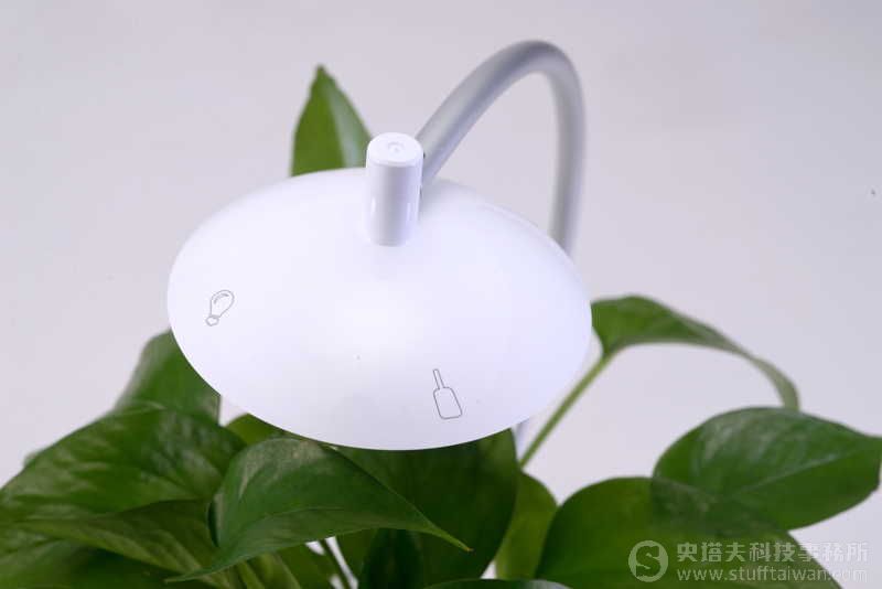 香草與魚照片