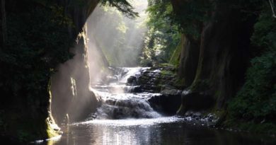 千葉旅遊照片