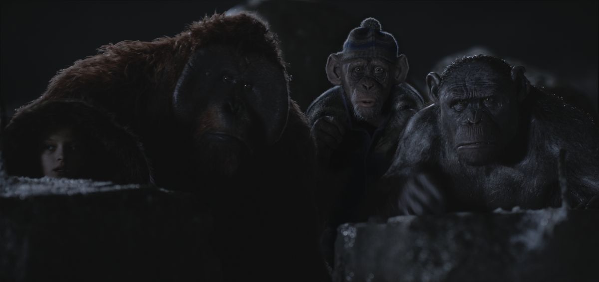 【猩球崛起：終極決戰War for the Planet of the Apes】觀後影評：人性自私，比起動物還不如