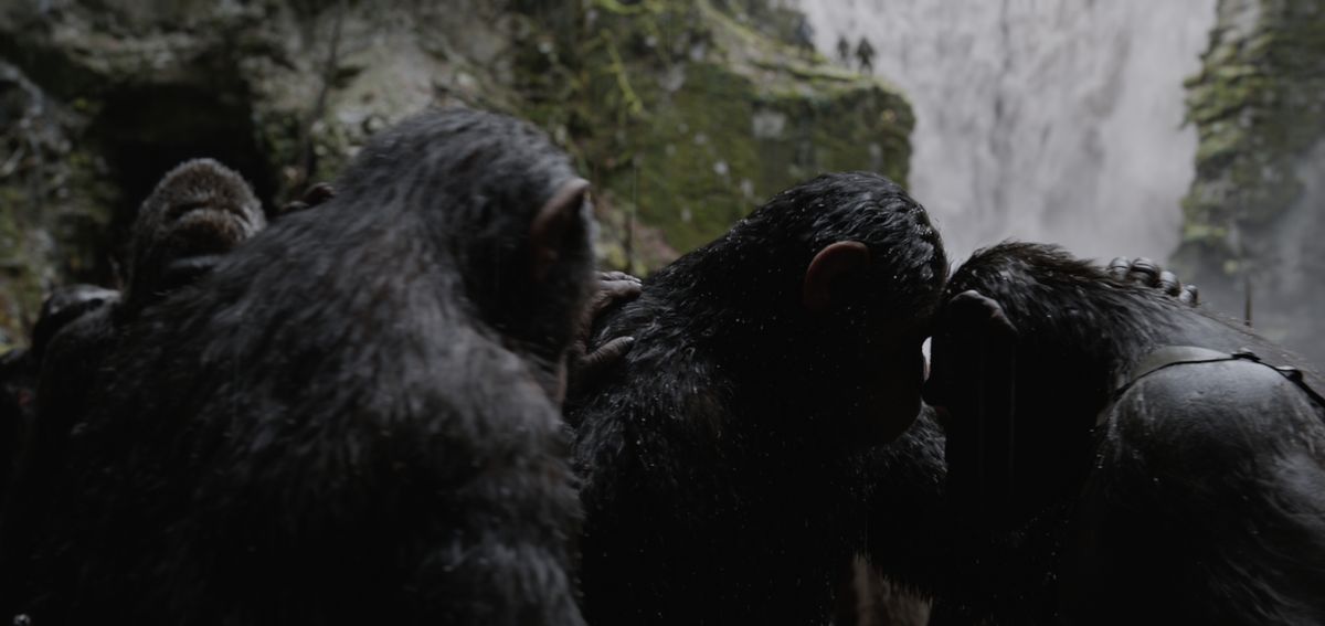 【猩球崛起：終極決戰War for the Planet of the Apes】觀後影評：人性自私，比起動物還不如