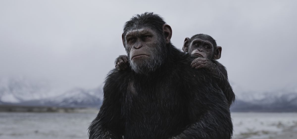【猩球崛起：終極決戰War for the Planet of the Apes】觀後影評：人性自私，比起動物還不如