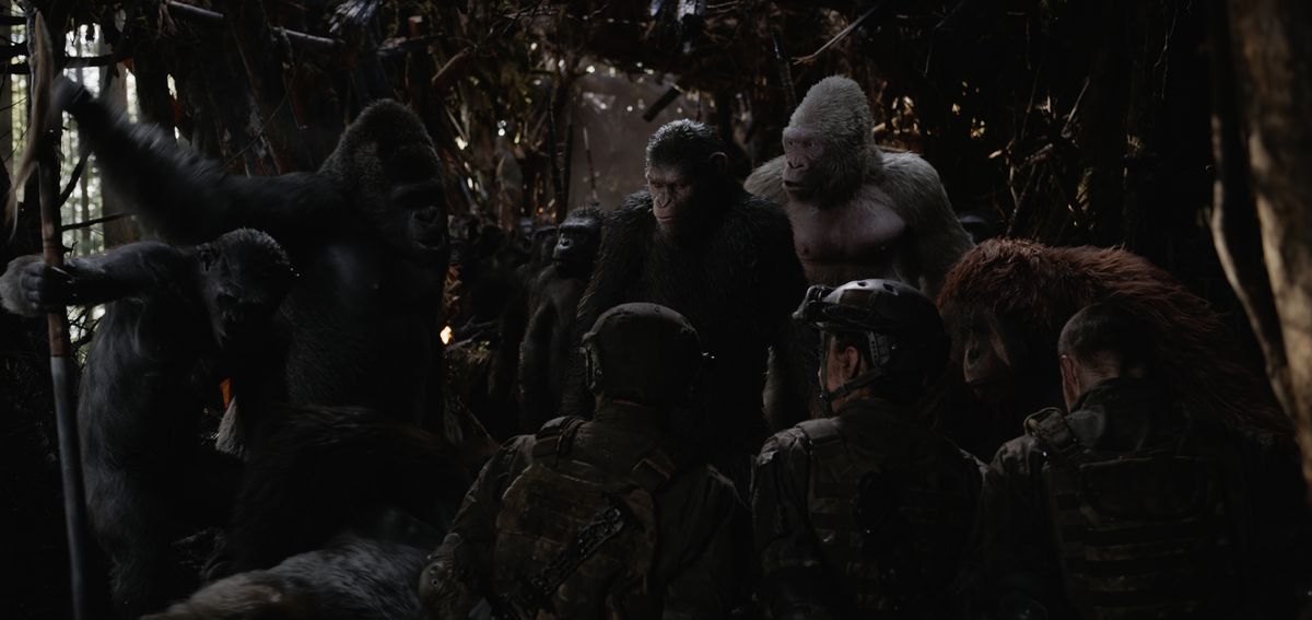 【猩球崛起：終極決戰War for the Planet of the Apes】觀後影評：人性自私，比起動物還不如
