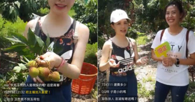 小農直播畫面