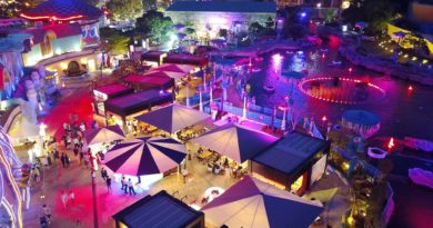 2018香港海洋公園歌酒節 上百款啤酒陪你High翻周末