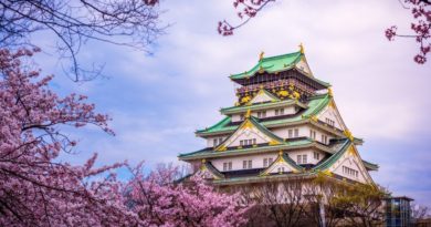 這兩間絕佳地點、絕佳特色、絕佳價錢的旅宿是去日韓賞櫻花的絕佳選擇